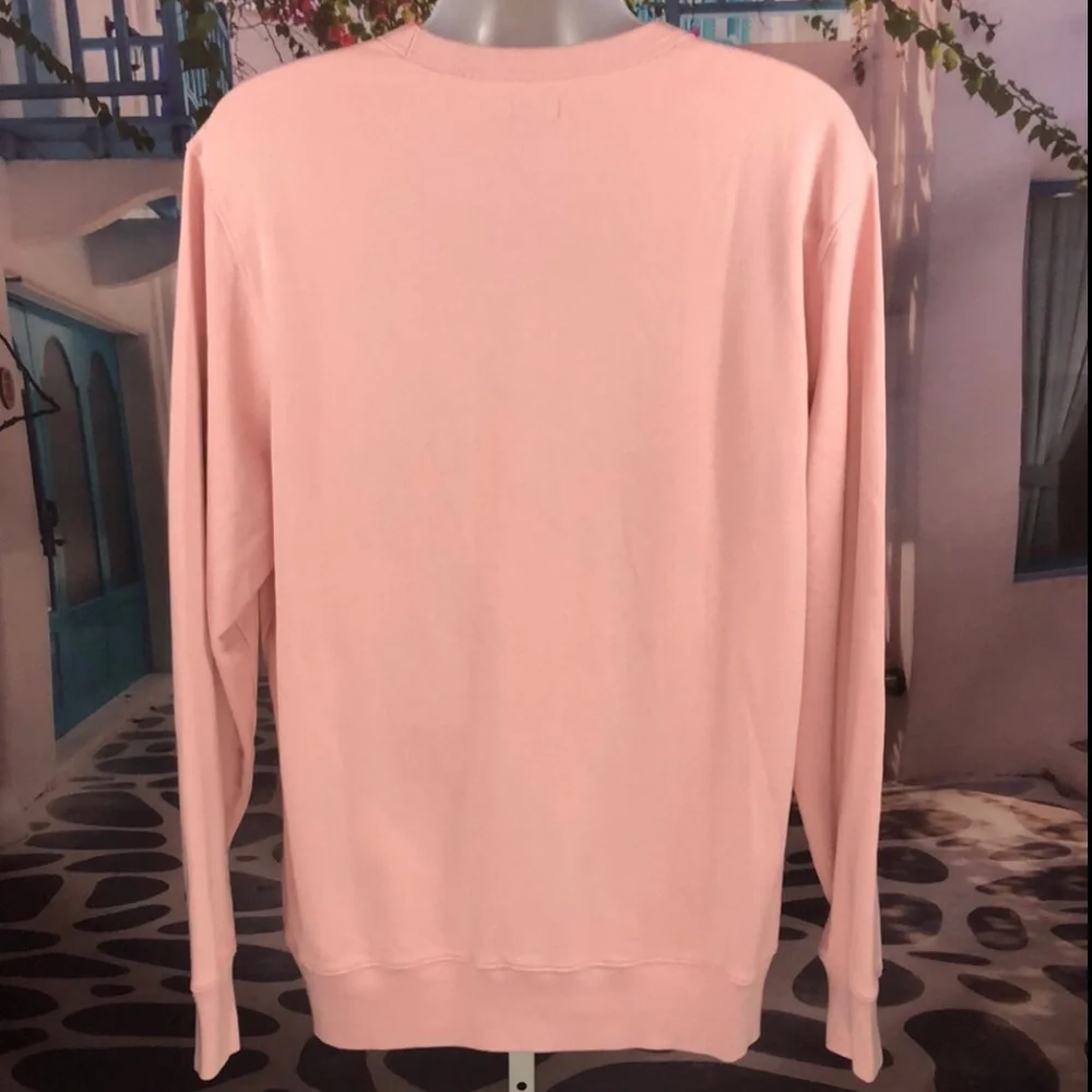 J. Crew Light Pink Sweatshirt